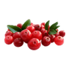 Cranberry Juice