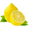 Lemon Bitters