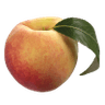 Peach Bitters